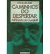 CAMINHOS DO DESPERTAR : A FILOSOFIA DE GURDJIEFF