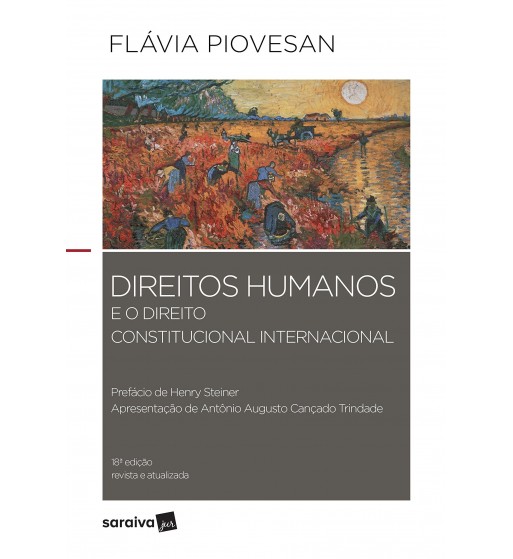 Direitos humanos e o direito constitucional internacional