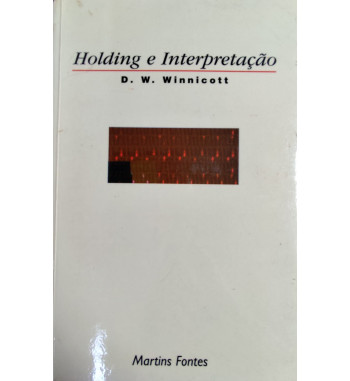 HOLDING E INTERPRETAÇÃO