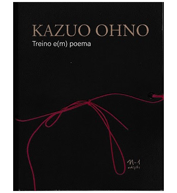 TREINO EM POEMA