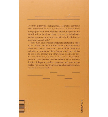 O BRILHO DO BRONZE : UM DIARIO