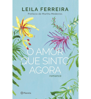 O AMOR QUE SINTO AGORA