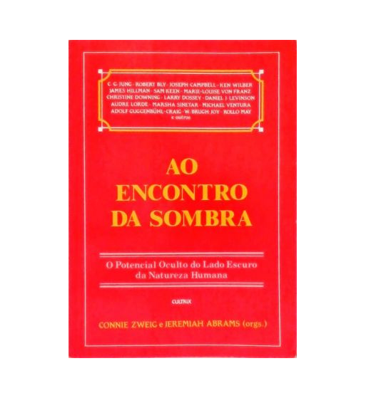 AO ENCONTRO DA SOMBRA