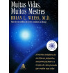 MUITAS VIDAS, MUITOS MESTRES