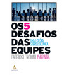 OS 5 DESAFIOS DAS EQUIPES