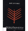A BATALHA DO RIOZINHO DO ANFRÍSIO