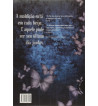 DEZESSETE LUAS: BEAUTIFUL CREATURES - VOLUME 2